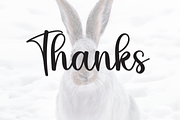Hello Bunny | Script Font, a Handwritten Font by Scratchones (Thumbnail 8 of 8)