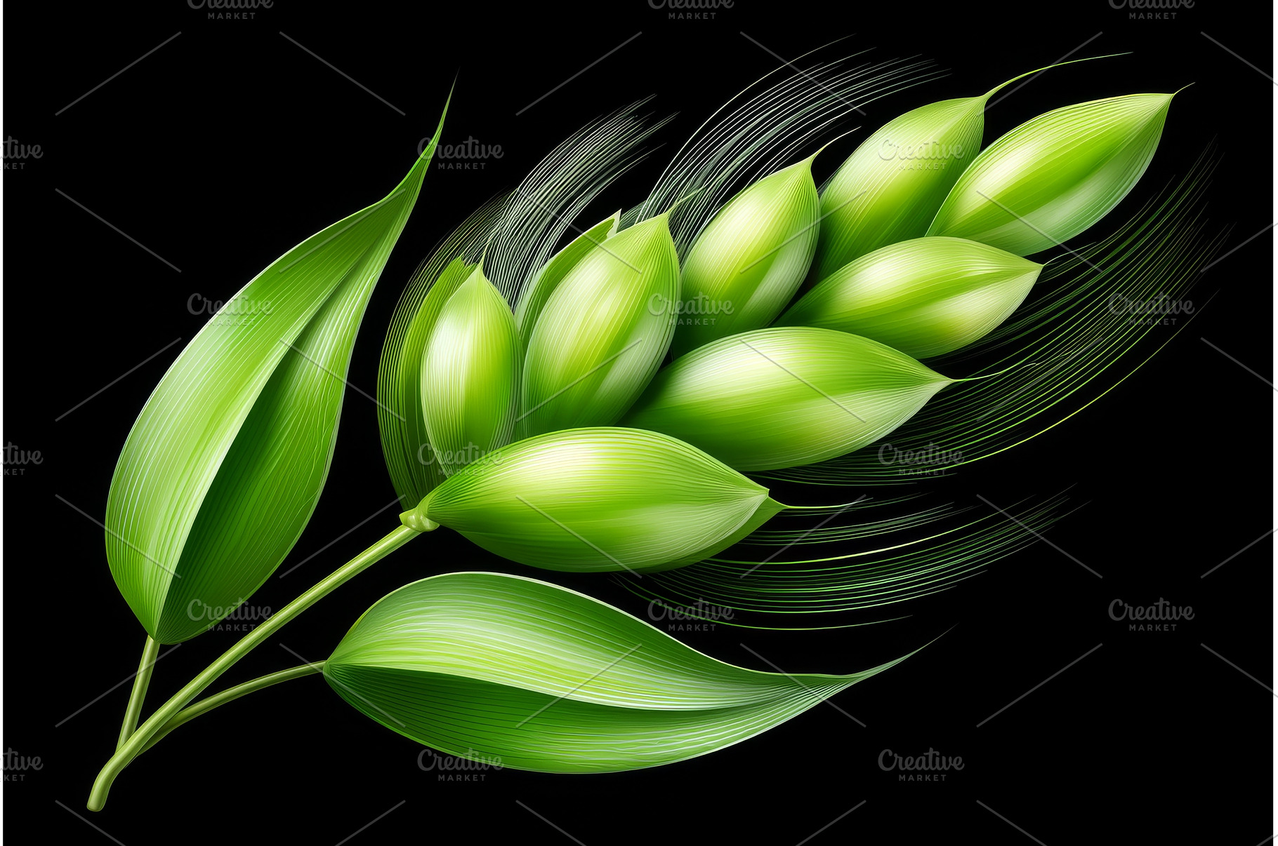 A black background provides a, a Nature Photo by ZinetroN