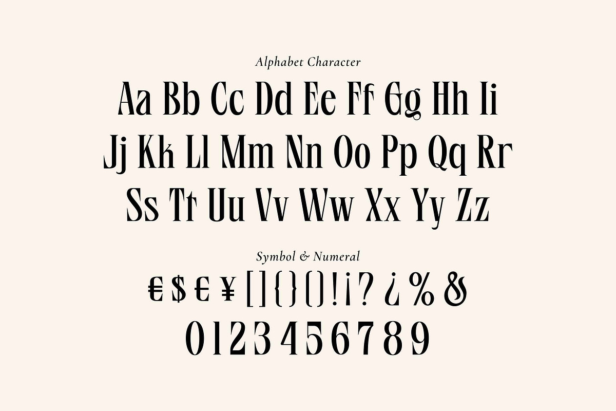 Blinds Audience - Aesthetic Font, a Serif Font by Fype Co. (Photo 5 of 5)