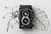 40 Vintage Floral Illustrations, an Illustration by Hatch Design Workshop (Thumbnail 2 of 15)