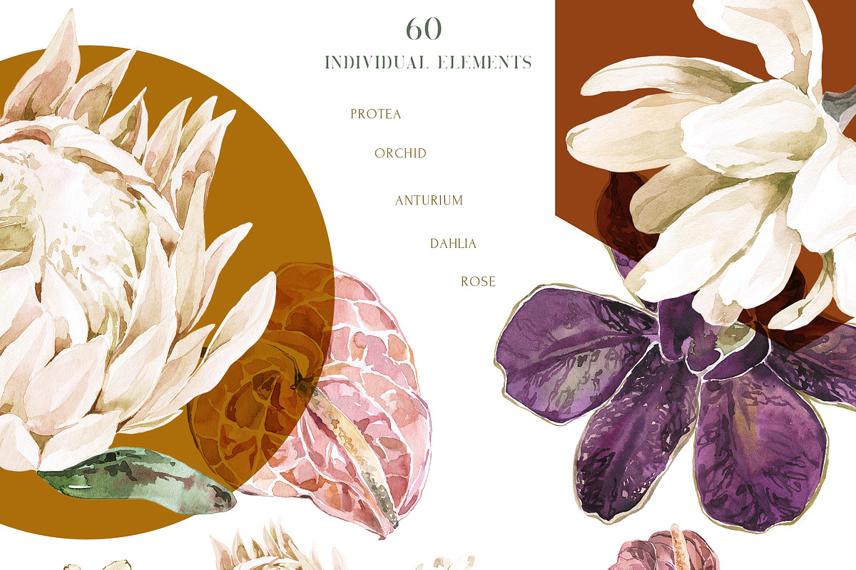 Tropical Jungle Floral Watercolor, an Illustration by Cat In Colour (Photo 2 of 8)