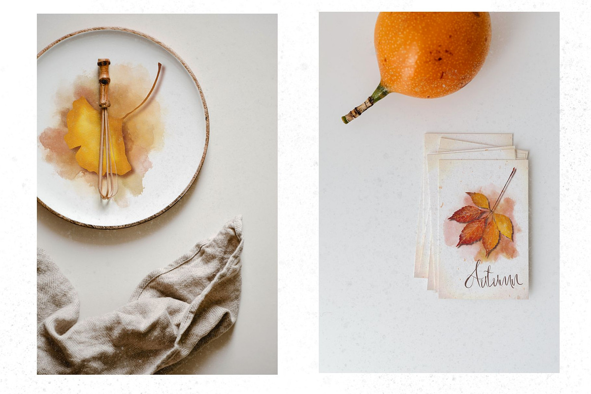 Autumn leaves set, a Decorative Illustration by AfieArt (Photo 7 of 7)