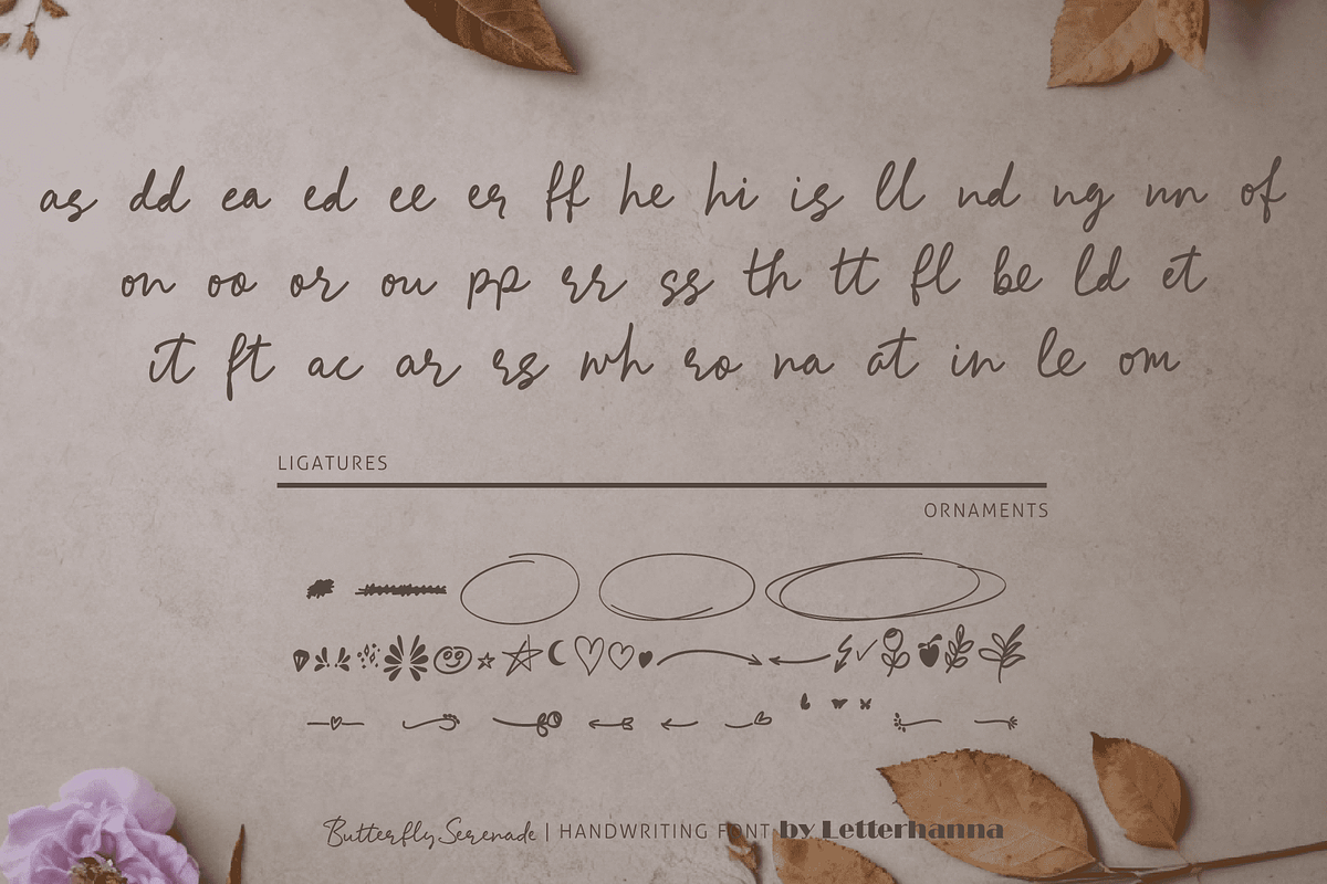 Butterfly Serenade Font, a Handwritten Font by Letterhanna Studio (Photo 10 of 13)