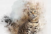 Brush Art Photoshop Action, an Action Add-On by MRI STUDIO (Thumbnail 9 of 16)