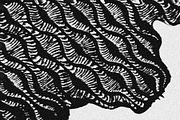 Scales and Fur, a Texture Graphic by Jennifer Lauren Creative (Thumbnail 23 of 26)