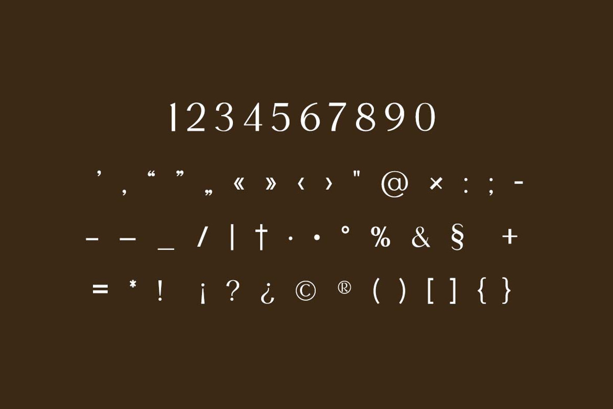 The Heritage Legacy Serif Font, a Serif Font by UICreative (Photo 6 of 13)