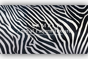 24 Animal Pattern Texture, a Background Graphic by NOMO DESIGN (Thumbnail 4 of 24)