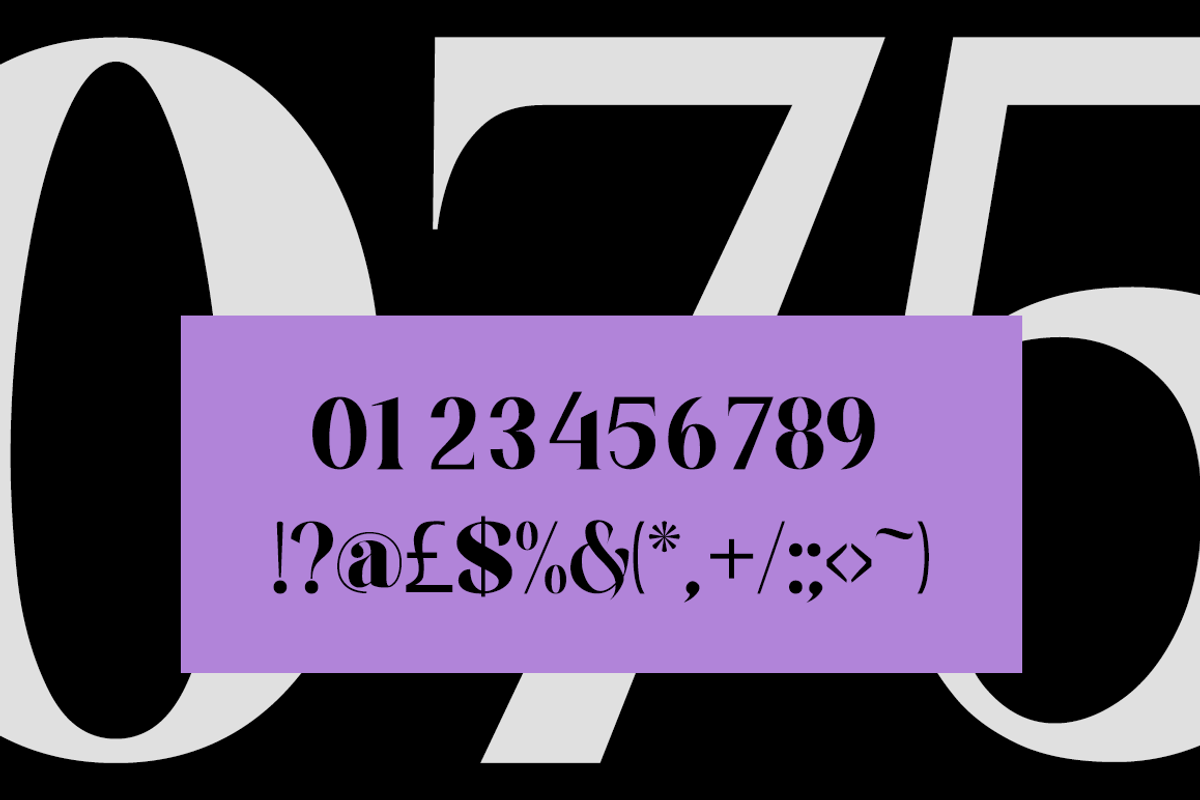 Catalyone - Fashion Font, a Serif Font by RockboyStd (Photo 10 of 12)