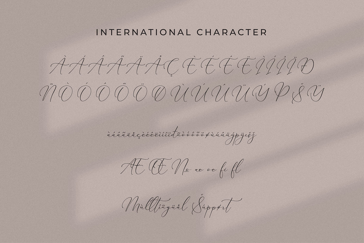 Qinarsi, a Script Font by Integritype Studio (Photo 11 of 15)