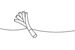 Spring onions one line continuous, a Food Illustration by GraphiShop