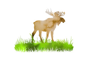 Elk watercolor. hand drawing. Not AI, an Animal Illustration by Nenahliadava Design