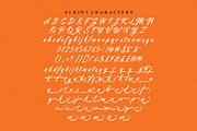Pastel Trunk - Font Duo, a Serif Font by ErgibiStudio (Thumbnail 13 of 14)