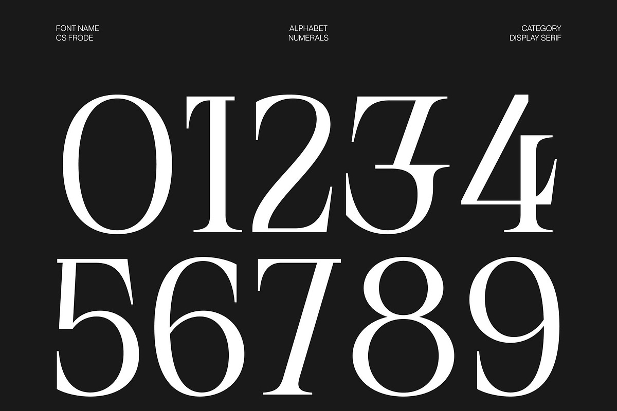 CS Frode – Modern Serif Font, a Serif Font by Craft Supply Co. (Photo 6 of 8)