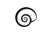 Spiral Seashell SVG Bundle, an Illustration by Gaye Art (Thumbnail 29 of 31)