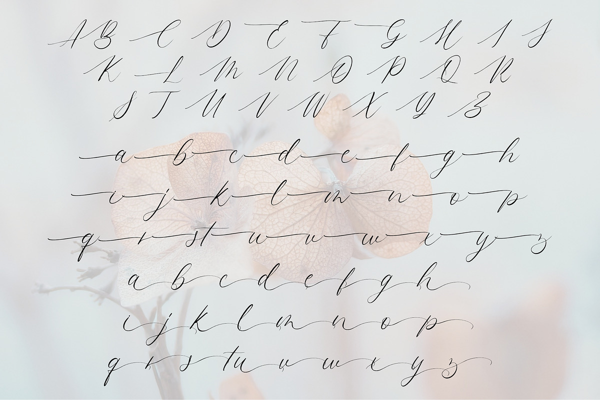 Homelines Font, a Script Font by Jackgridden (Photo 9 of 11)