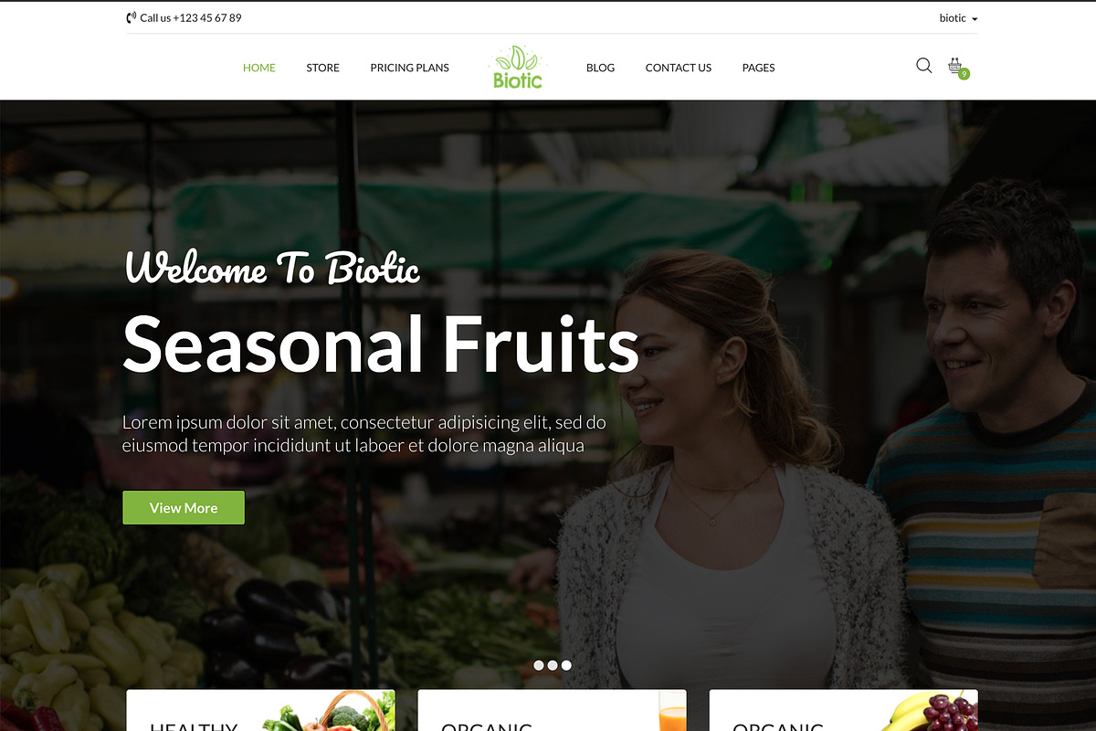 Biotic -Organic Food WordPress Theme, a WordPress Template by ThemeRegion (Photo 3 of 3)