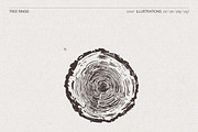 Tree Rings Wood Sketches, a Decorative Illustration by TheMountBirdStudio (Thumbnail 4 of 5)