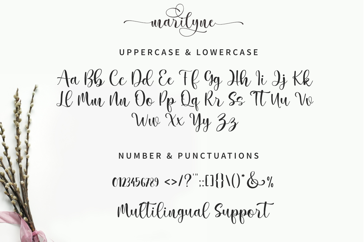 Marilyne -  Modern Calligraphy, a Script Font by Silverdav (Photo 8 of 9)