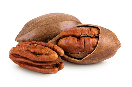 broken pecan nut isolated on white, a Food & Drink Photo by NataPhoto
