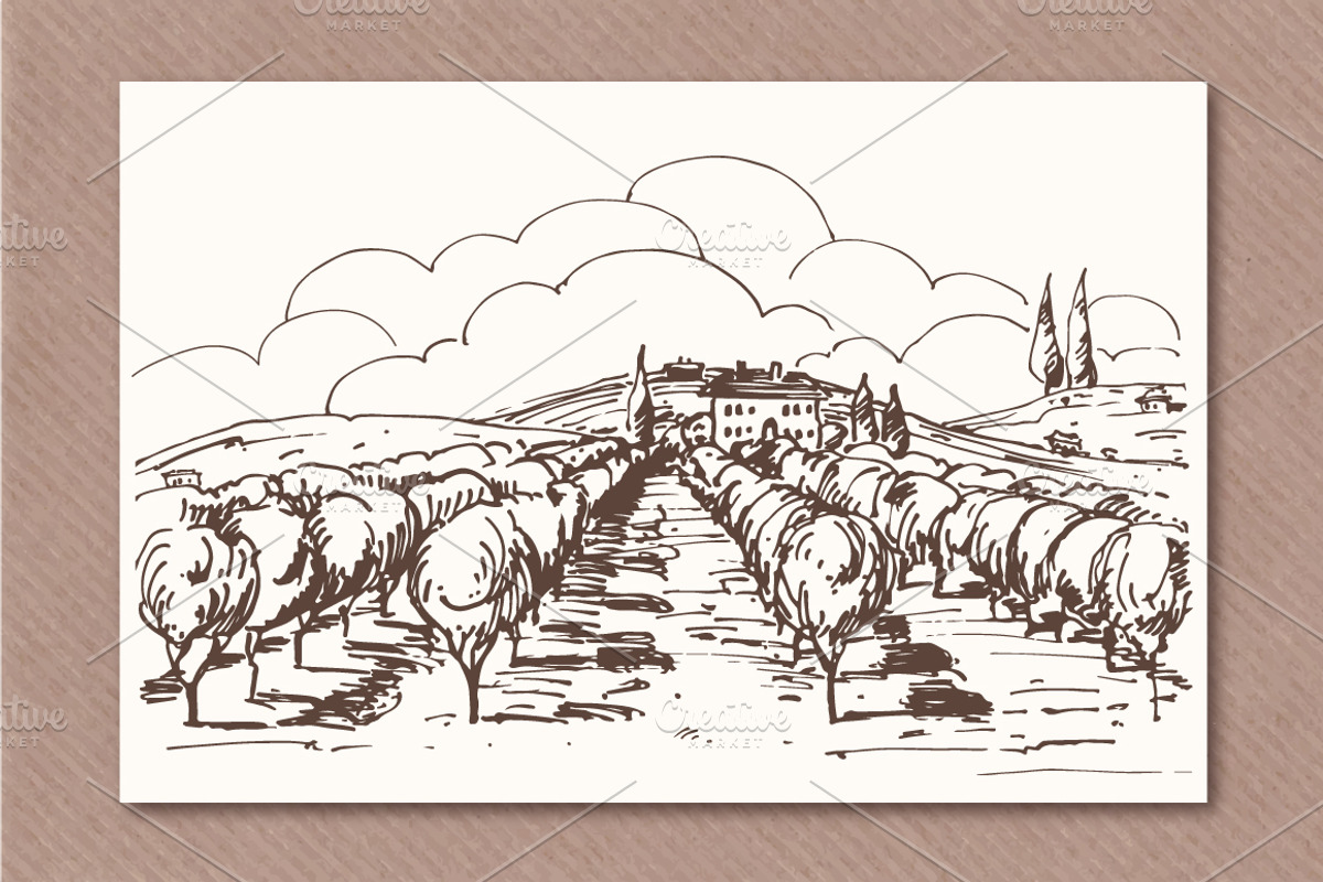 Hand drawn vineyards illustrations, an Illustration by Blue Ink Studio (Photo 3 of 5)