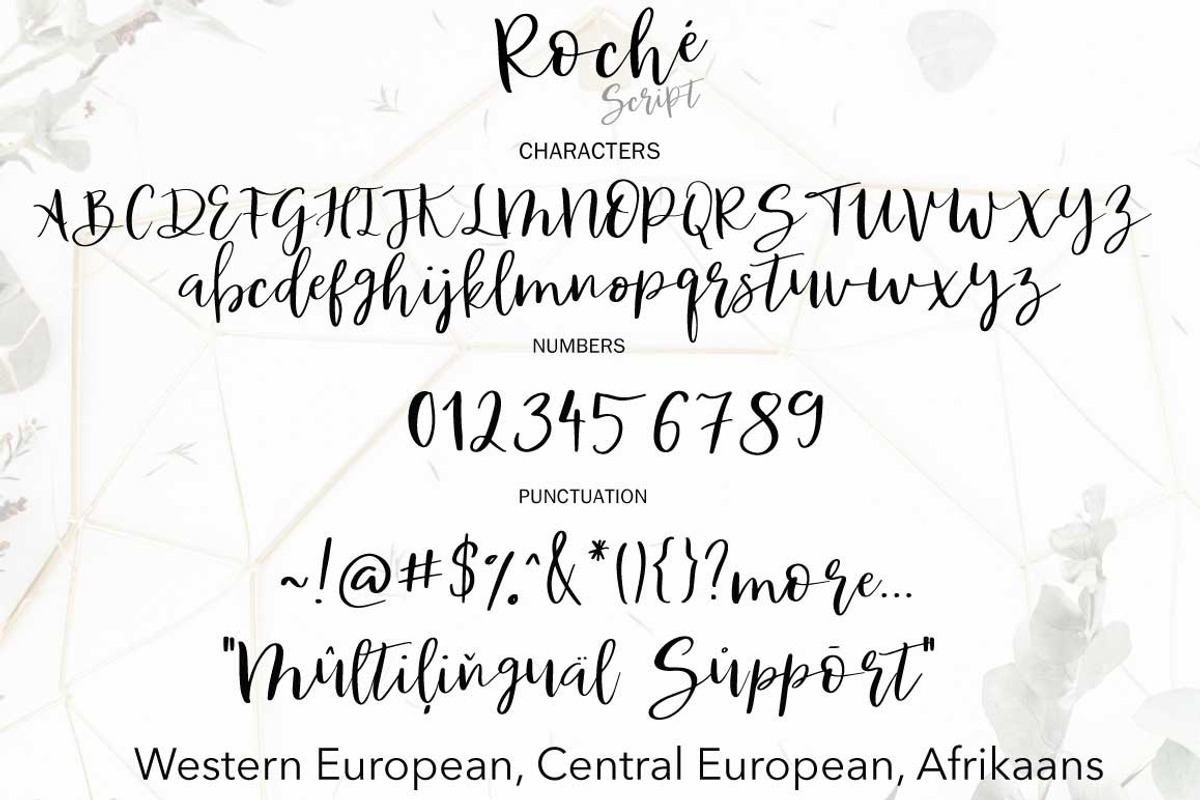 Roche Script preview 6