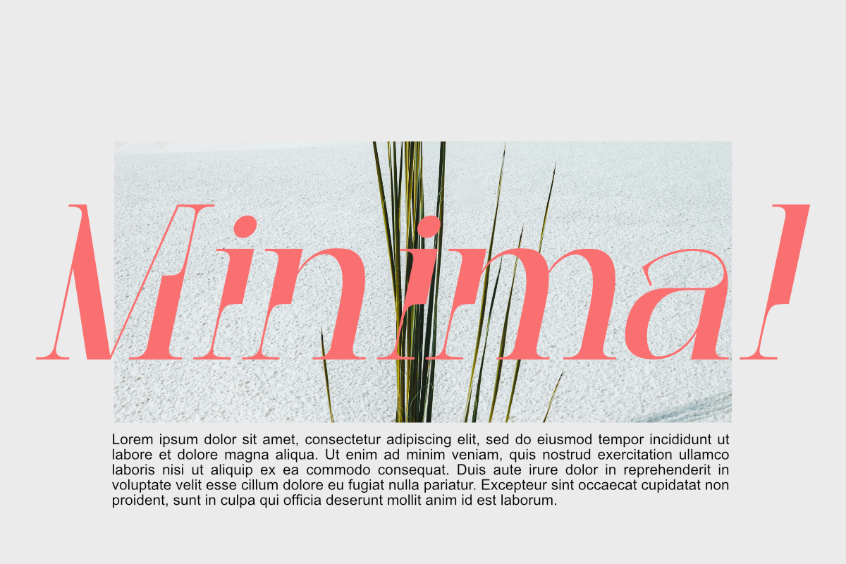 Decoslice, a Serif Font by Muksal Creative (Photo 4 of 10)