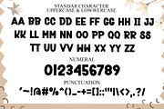 Magical Vintage, a Script Font by FreshTypeINK (Thumbnail 2 of 8)