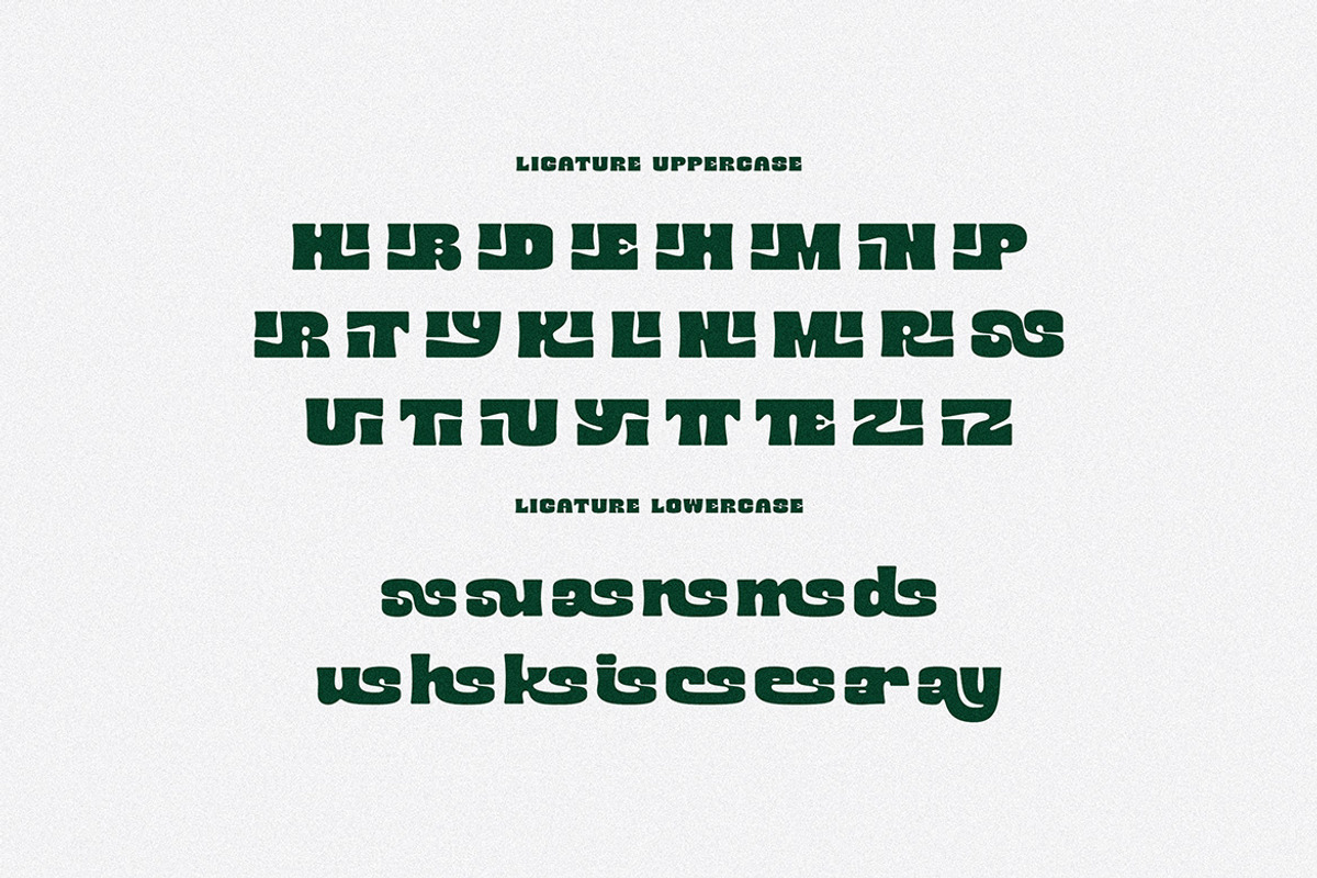 Mibery Retro Bold Serif, a Serif Font by Cruzine (Photo 9 of 10)