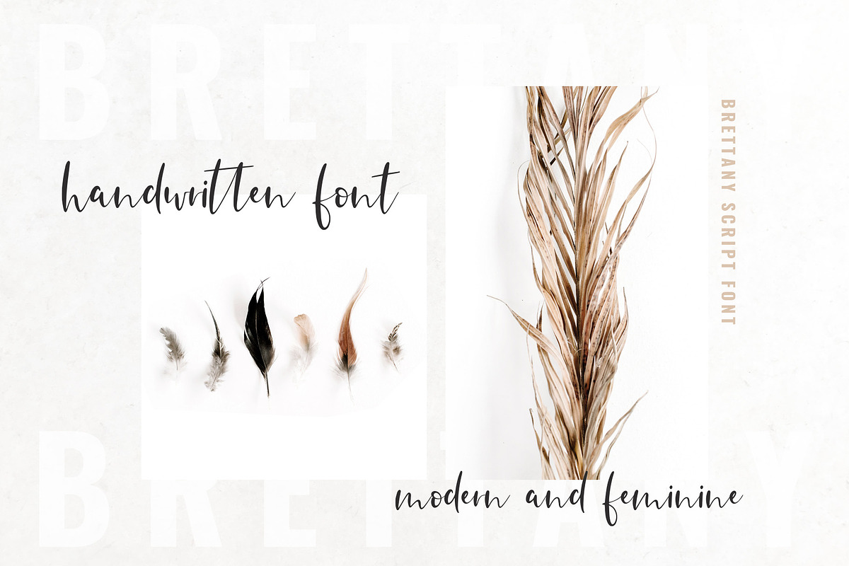 Brettany Script Font preview 2