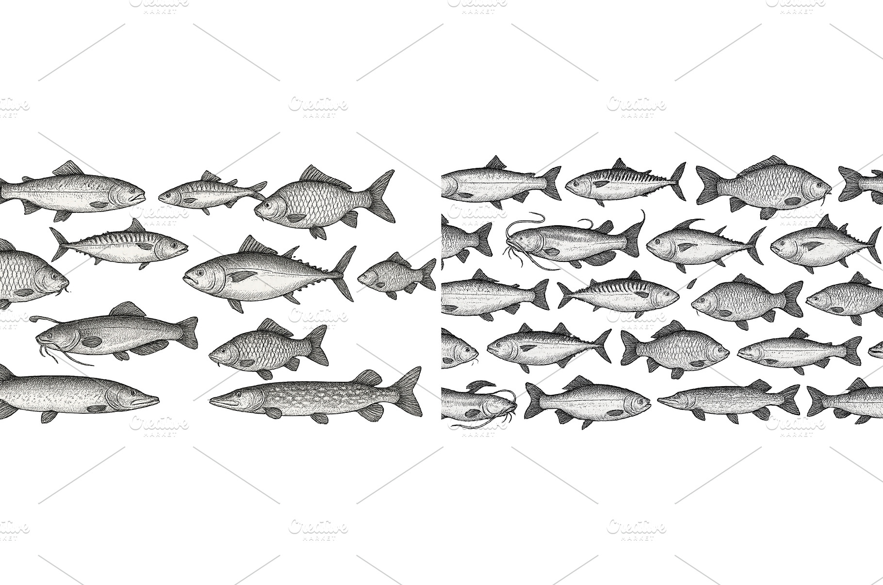 Diverse types of fish illustrated, an Animal Photo by ZinetroN