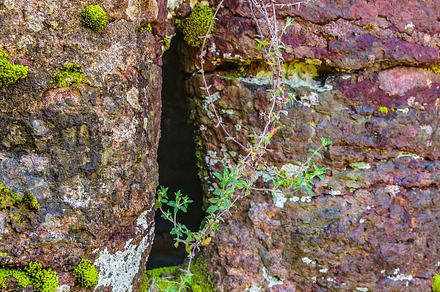 Big Rock Columns, Flores, Uruguay, a Nature Photo by DanFLCreativo