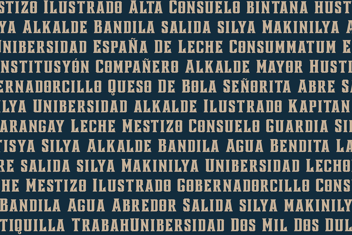 Mestizo preview 6