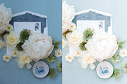 Bridal Details & Wedding Presets, an Action Add-On by Lux Light (Thumbnail 4 of 12)