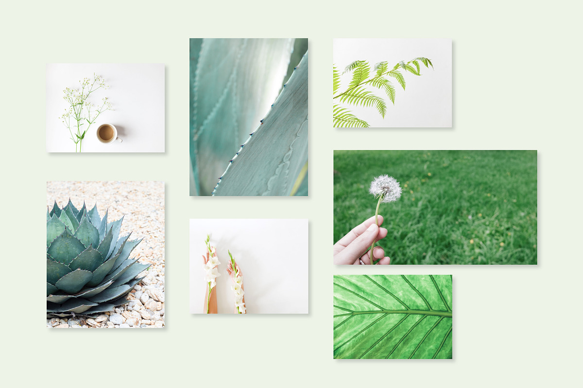 Minimal Greenery Photo Bundle, a Business Photo by Visual Bloom (Photo 4 of 4)