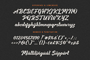 The Magrola - Vintage Script Font, a Handwritten Font by prps.std (Thumbnail 6 of 8)