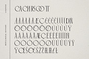 Cyrano - Unique Serif Typeface, a Serif Font by Dharmas Foundry (Thumbnail 15 of 16)