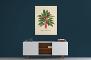 Vintage Illustrations - Leaves, an Illustration by BlackBird Foundry (Thumbnail 4 of 4)
