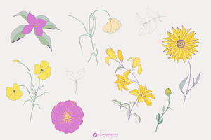 Flower Garden Seamless Patterns