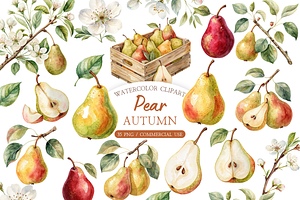 Autumn Pear Clipart PNG