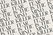 OZAAN – A Sophisticated Modern Serif, a Serif Font by Only Fonts (Thumbnail 9 of 11)