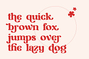 Mighty Party, a Serif Font by Nathatype (Thumbnail 6 of 10)