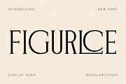 Figurlce A Display Serif Font, a Serif Font by Storytype Studio (Thumbnail 1 of 15)