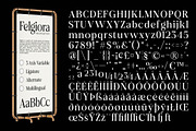 Felgiora, a Serif Font by Propertype (Thumbnail 15 of 16)