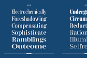 Gerard Display, a Serif Font by Rafael Jordan (Thumbnail 8 of 12)