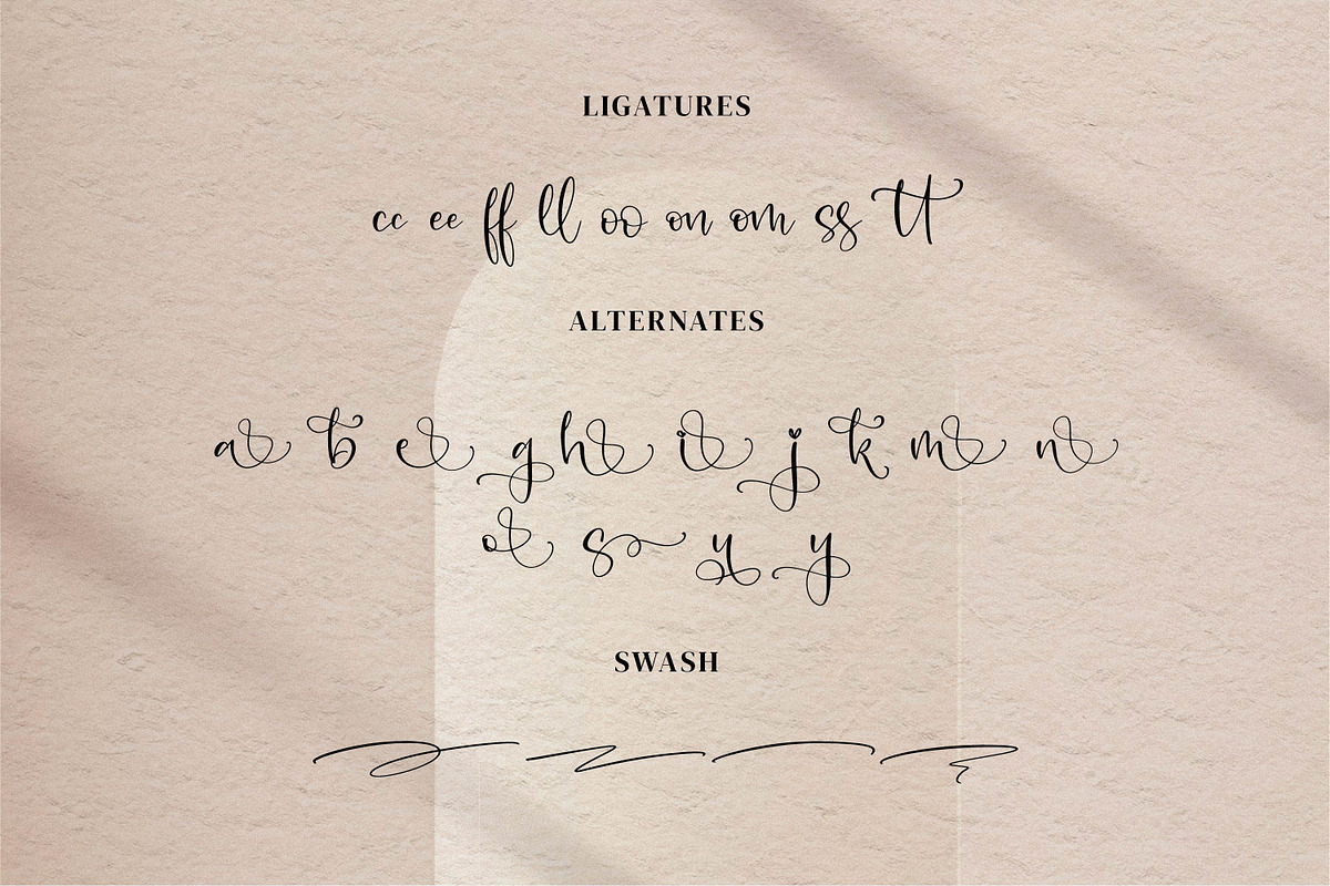 Aleani, a Script Font by Integritype Studio (Photo 10 of 15)