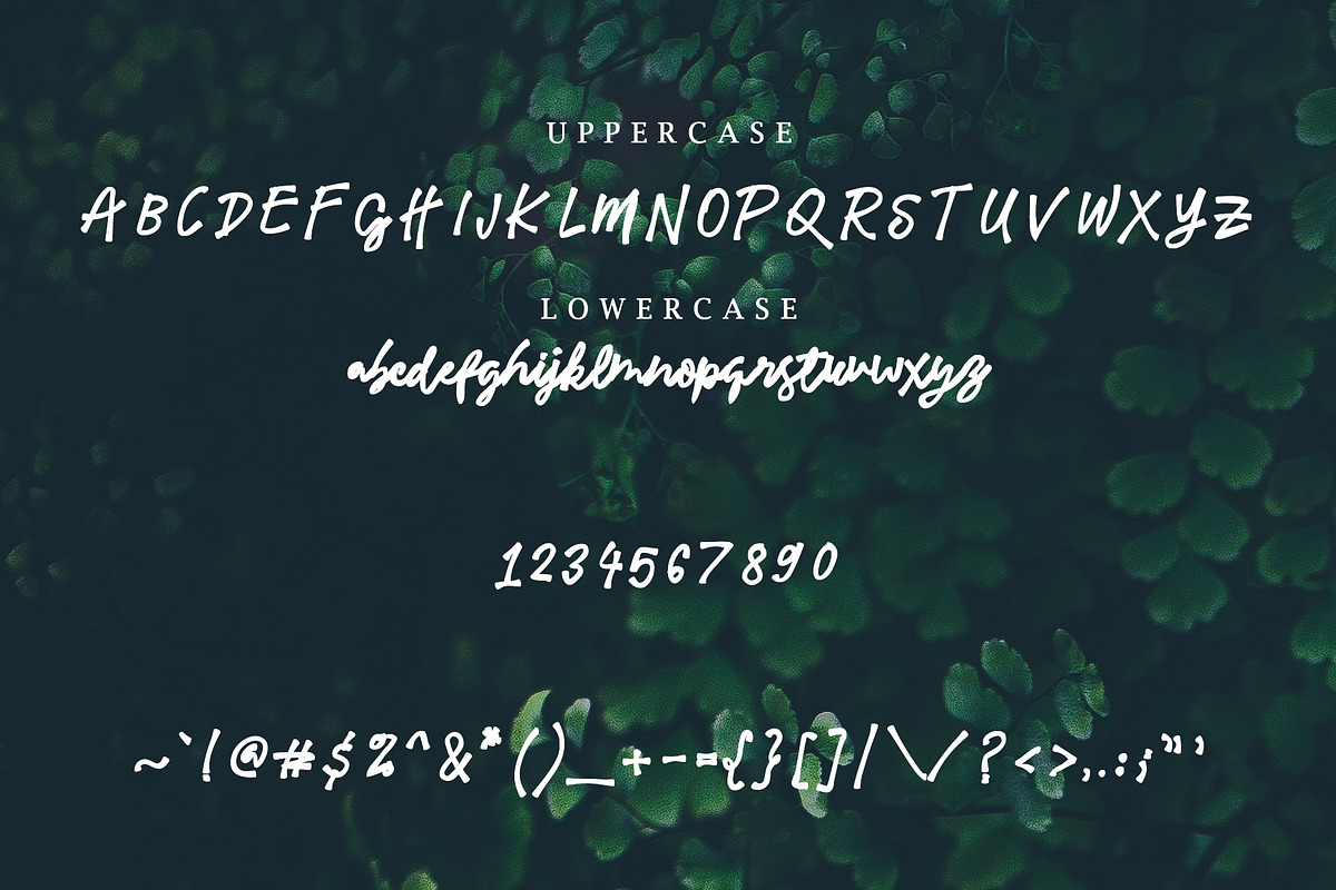 Meadowlark Script Font preview 2