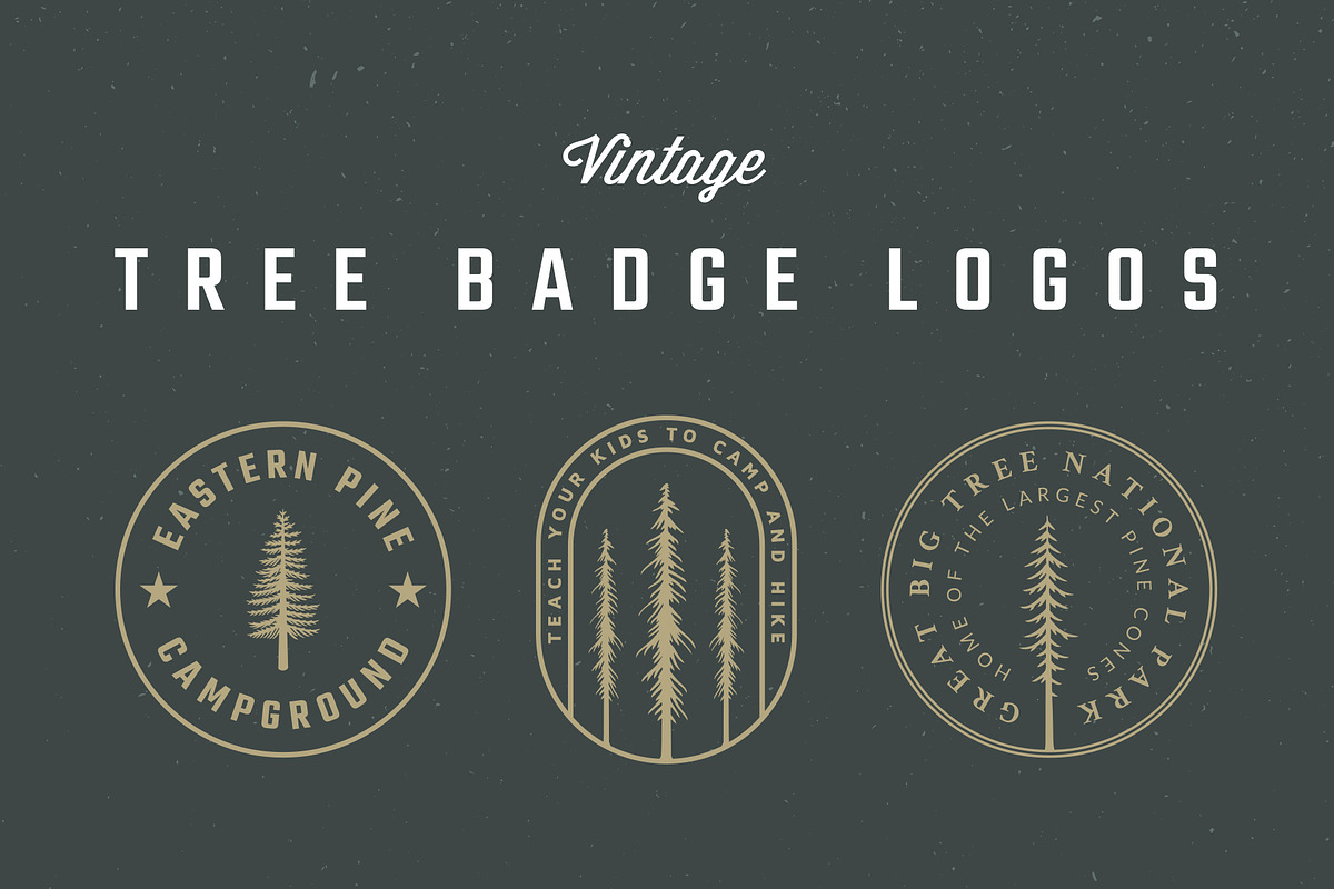 Vintage Tree Badge Logos, a Branding & Logo Template by Build Interactive (Photo 1 of 8)