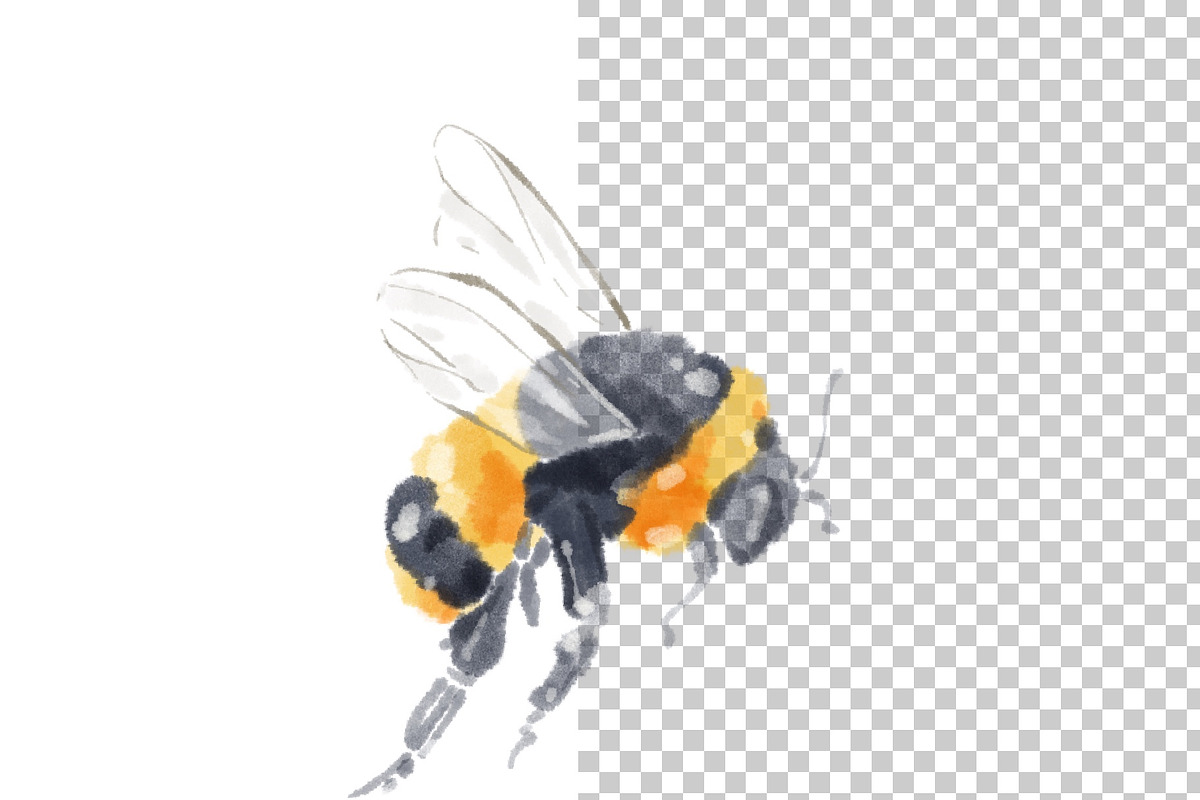 Watercolor Bumble bee clipart., an Illustration by NKTKNS (Photo 4 of 5)
