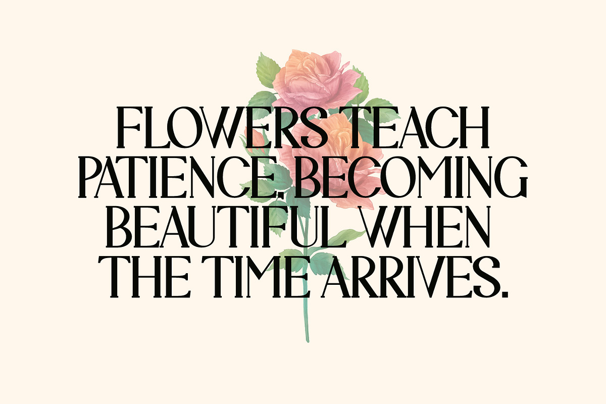 Corvinora - Serif Typeface Font, a Serif Font by Rishsketch (Photo 4 of 15)