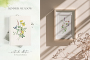 SUMMER MEADOW wildflower watercolor, a Decorative Illustration by Yuliya Derbisheva (Thumbnail 2 of 16)